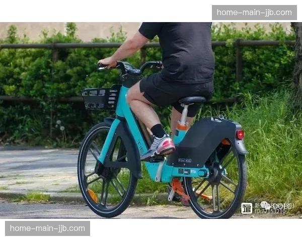 欧洲自行车产业报告：电动山地车销量增长35%，传统市场受冲击